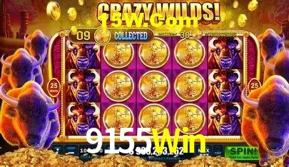 Benefícios VIP na 9155Win